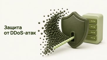 Защита от DDoS-атак для компании: как выбрать