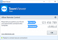 Дополнительный канал для TeamViewer версий Premium/Corporate